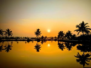 Simon N Walker Indian Sunset 2019